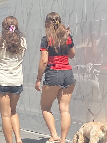 Candid Brasil