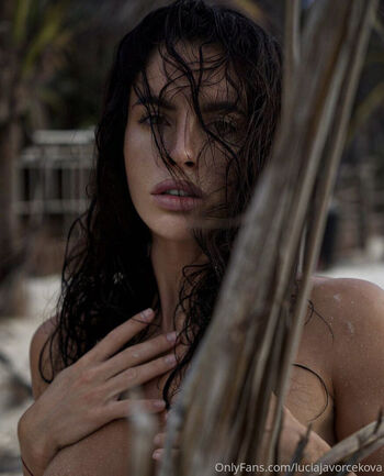 luciajavorcekova