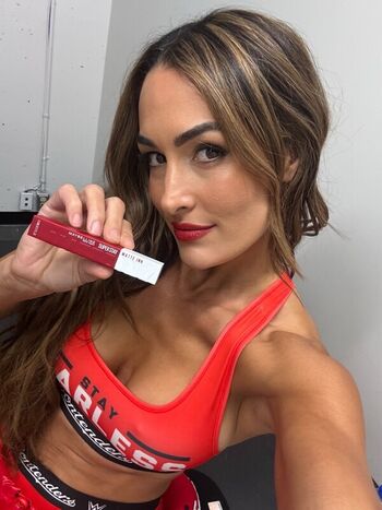 The Bella Twins